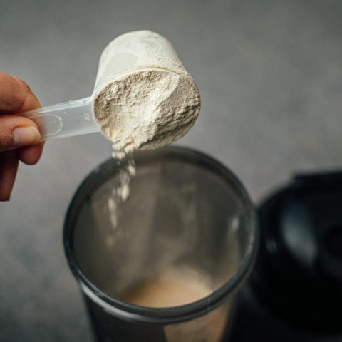 Powerlogy Organic Vegan Protein